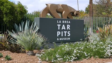 La Brea Tar Pits Museum Tour & Fossils (HD) in 2023 | La brea tar pits ...