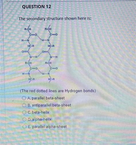 Solved The two types of beta sheets are: A. left-handed beta | Chegg.com