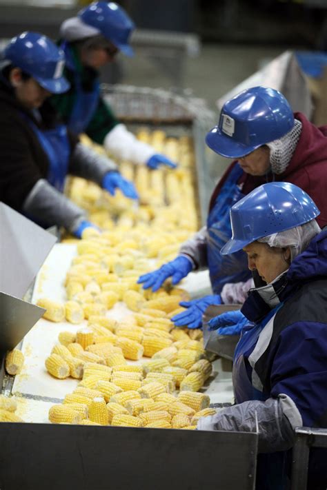 National Frozen Foods Celebrates 100 Years of ‘Feeding the World' | The Daily Chronicle