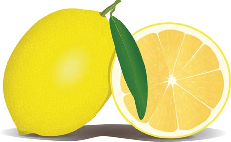 lemon clipart png - Clip Art Library