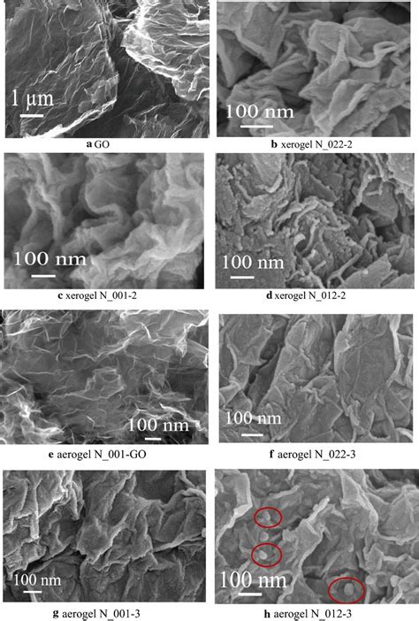 SEM-image structure of synthesis xerogel (a GO, b xerogel N_022-2, c... | Download Scientific ...