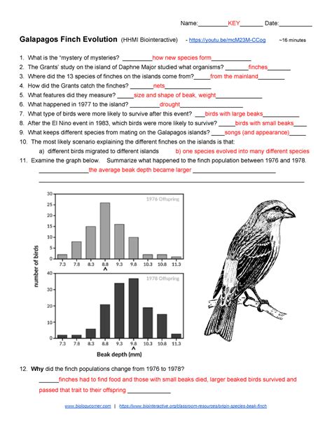 Galapagos Finch Evolution KEY-1 - Name: KEY Date:________ Galapagos Finch Evolution (HHMI - Studocu