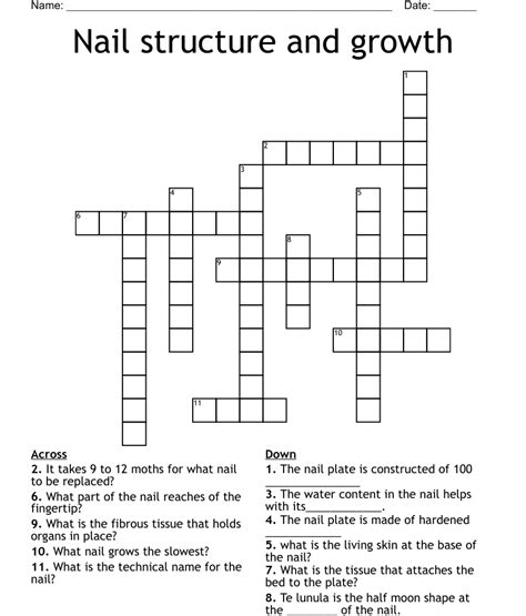 Nail structure and growth Crossword - WordMint