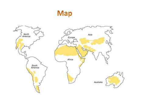 PPT - BIOME DESERT PowerPoint Presentation, free download - ID:2084511