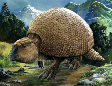 Glyptodon | Dinosaurs - Pictures and Facts