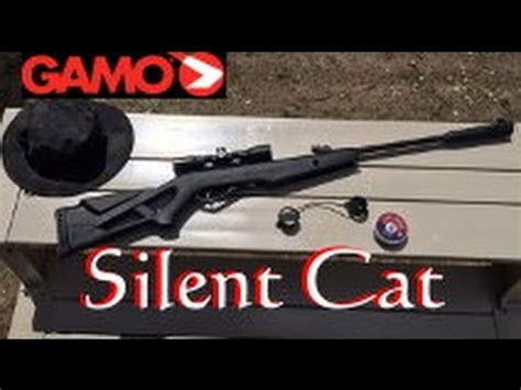 Gamo Silent Cat .177 cal. Air Rifle with 4x32mm Scope - YouTube