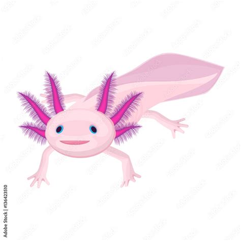 Axolotl pink isolated with four legs on white. Water animal Stock Vector | Adobe Stock