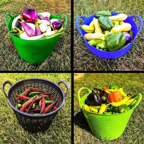 The 7 Best Fruit Picking Baskets - Minneopa Orchards