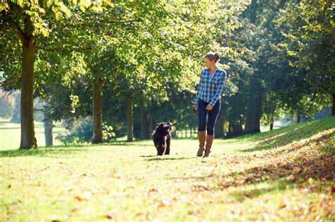 Bregman Veterinary Group: National Take a Walk in the Park Day