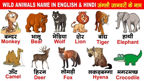 Learn Wild Animals Names in Hindi/English For Kids | जंगली जानवरों के नाम | Download PDF - YouTube