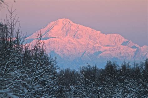 Denali December Sunrise Photograph by Donna Quante - Fine Art America