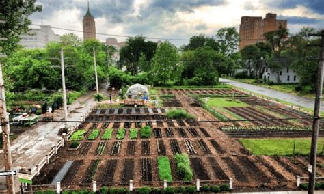 Ecological, Social and Economic Benefits of Urban Agriculture - Tehran Times