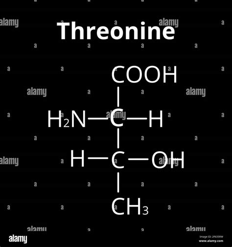 Threonine is an amino acid. Chemical molecular formula of threonine amino acid. Vector ...