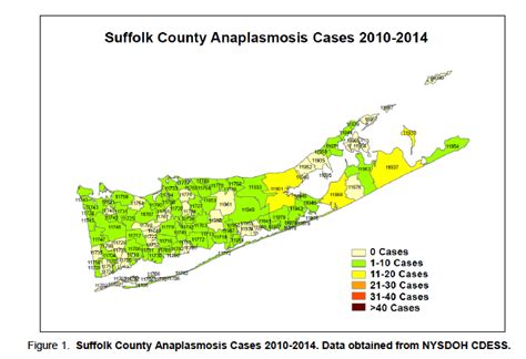 Tick-borne disease rates higher on East End than all of Suffolk County ...