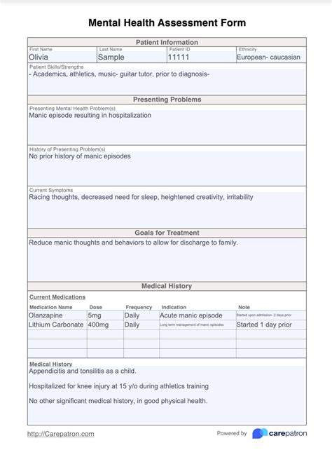 Mental Health Assessment Form & Template | Free PDF Download