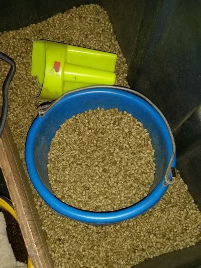 Pro Equine Grooms - What You Need to Know About Hay Pellets