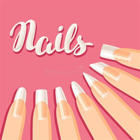 Acrylic nail shapes set. stock vector. Illustration of french - 123067785