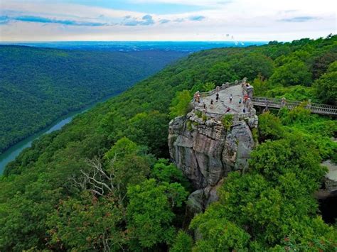 people are standing on the top of a cliff in the middle of trees and water