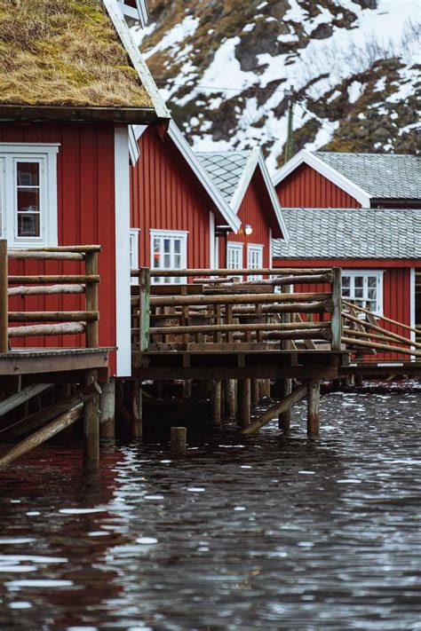 Red vacation cabins in Reine, Norway | Royalty free stock photo | High Resolution image