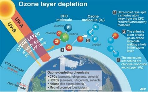 What is the main reason for the depletion of the ozone layer? | Socratic