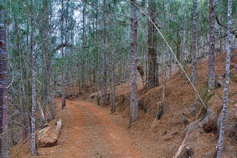 Hiking on Lanai Hawaii