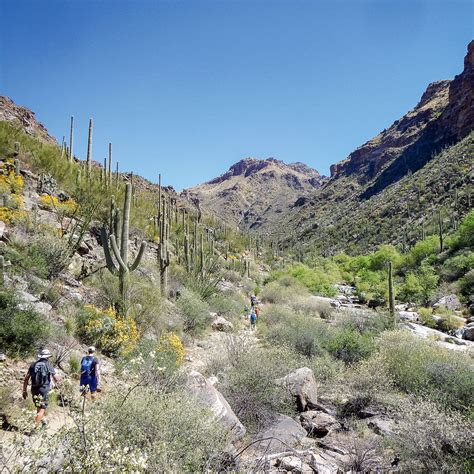 Sabino Canyon Hiking Trails | Moon Travel Guides