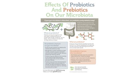 The Effects of Probiotics and Prebiotics on our Gut Microbiota - Gut ...