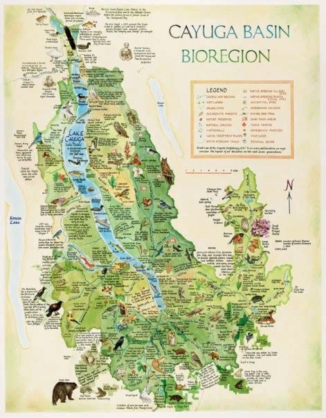 Why is Bioregional mapping important? - Brandon Letsinger