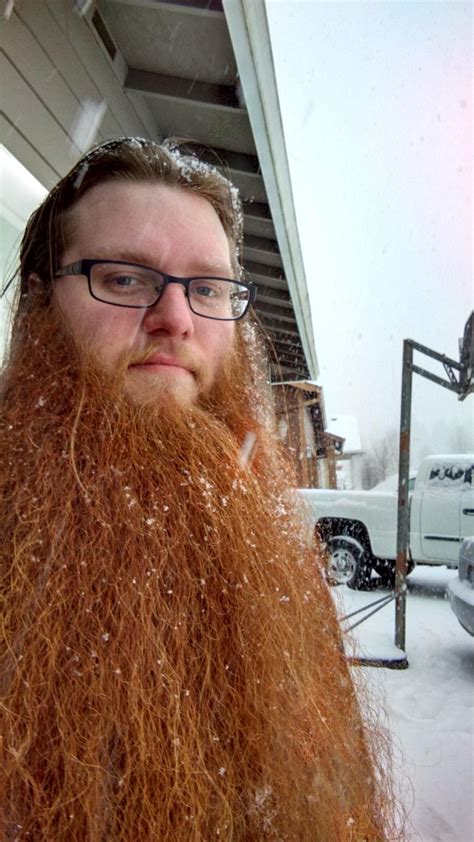 Ginger beards unite! Beard Rules, Beard Game, Epic Beard, Full Beard ...