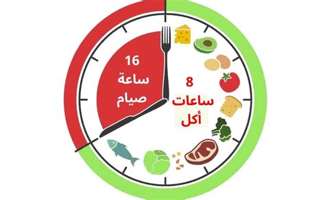 هل الصيام المتقطع يكون يوميا؟ جدول رجيم للمبتدئين