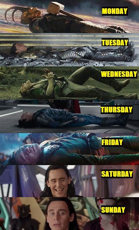 A week in the life of Loki - | Cose divertenti, Citazioni che fanno ...