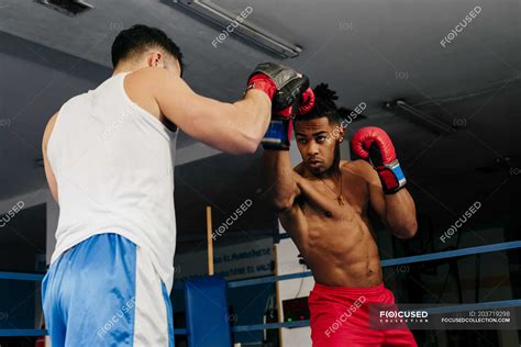 Men training and boxing — strong, powerful - Stock Photo | #203719298