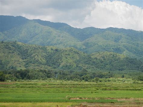 bulubundukin ng sierra madre - philippin news collections