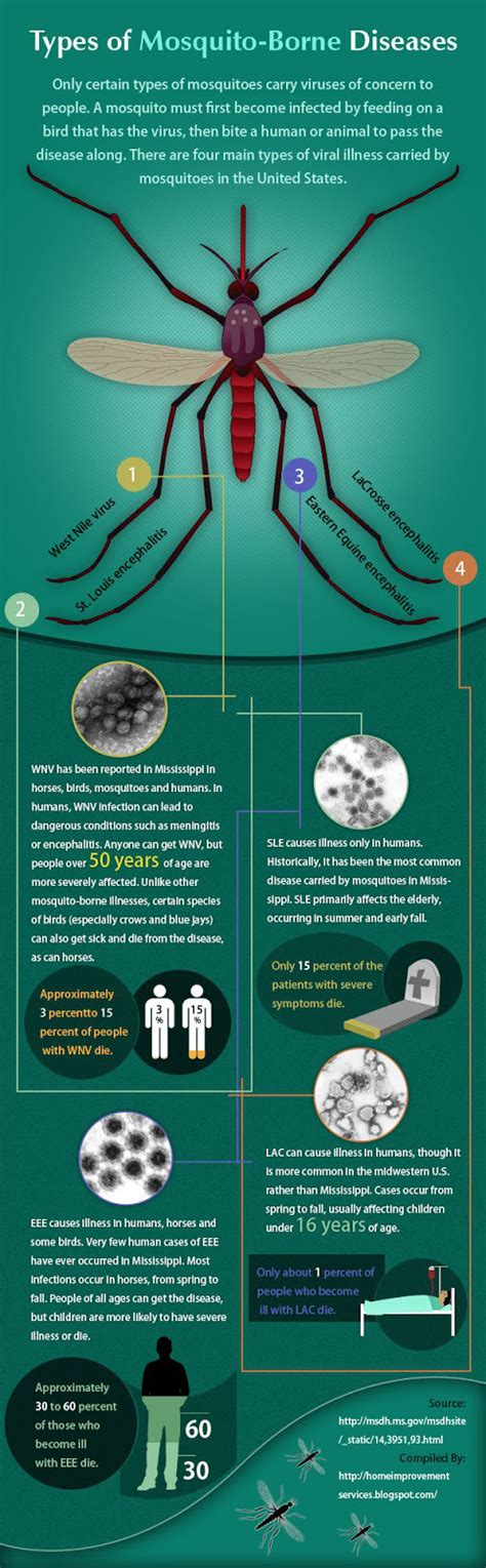 Types of Mosquito-Borne Diseases [INFOGRAPHIC] | Disease infographic, Mosquito, Disease