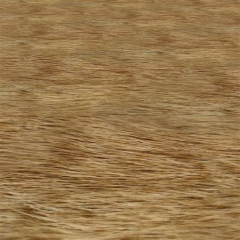 Seamless Brown Animal Fur Photo Texture - 837x422 Custom 3DPoserWorld 3D Model Content Store for ...