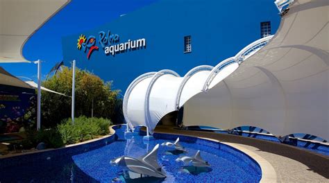 Palma Aquarium in Can Pastilla | Expedia