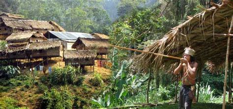 Orang Asli Aboriginal Villages – Taste the Culture of Orang Asli - HolidayGoGoGo