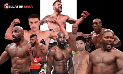 Betting Odds for Winner of Bellator Light Heavyweight Grand Prix ...