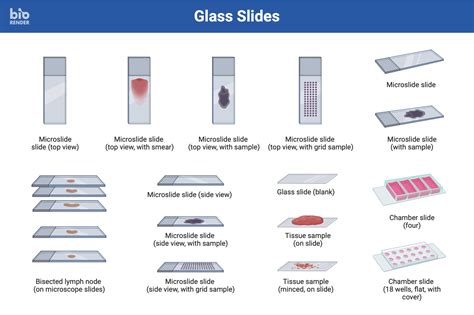 Icon Pack - Glass Slides | BioRender Science Templates