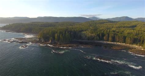 Shoreline Landscape in Vancouver, British Columbia, Canada image - Free stock photo - Public ...