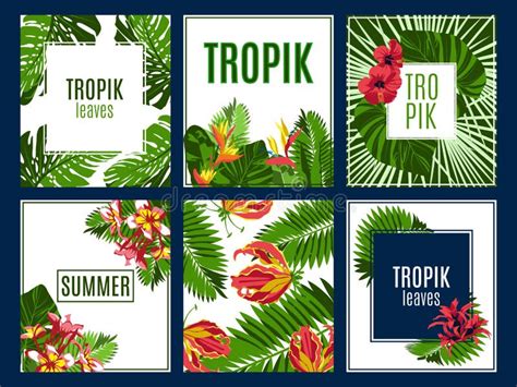 Tropik Leaves Card Templates Set Stock Vector - Illustration of decoration, flower: 206119787