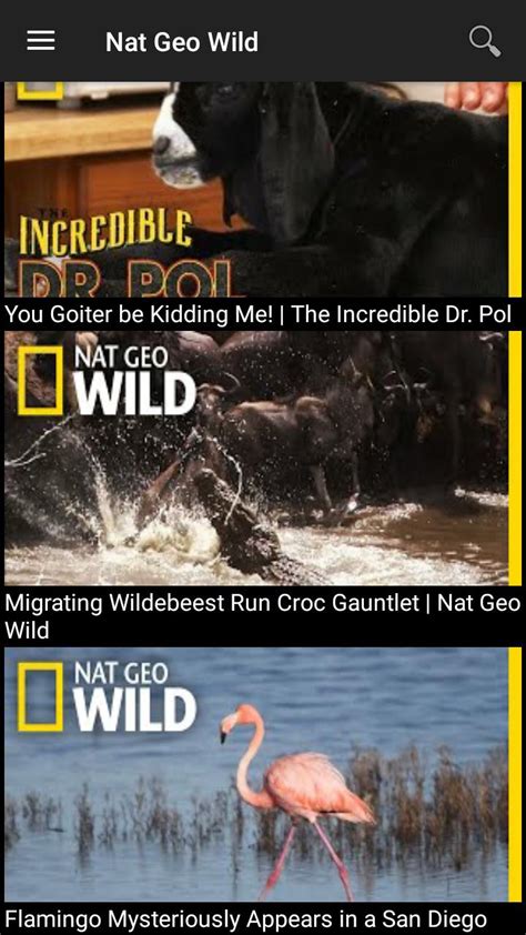 Nat Geo Wild APK for Android Download