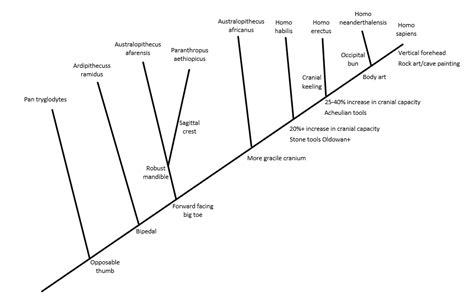 [Solved] Please Construct Cladogram as directed. Thanks.. Chart of ...