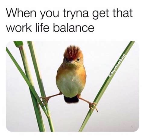 10 work life balance meme to help you stay sane!