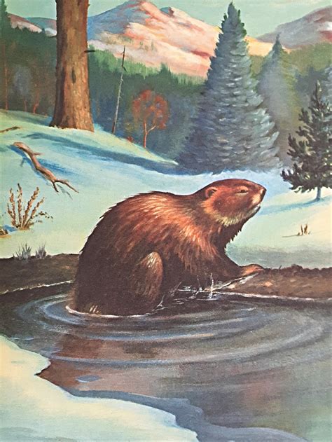 Benny the Beaver, Harry Baerg, Vintage Childrens Book, 1960s, 1964 - Etsy