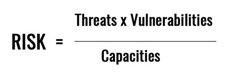 Module 11: Analysing Risk - The Risk Formula for a Personal Protection Plan | Front Line Defenders