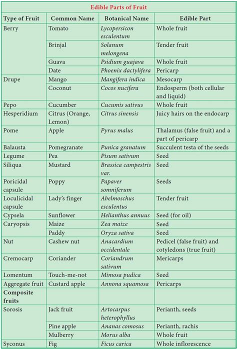 Functions of Fruit