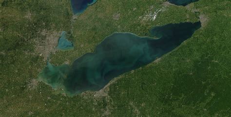 Research Summary: Lake Erie's Ecological History as Recorded by Phytoplankton - Lake Scientist