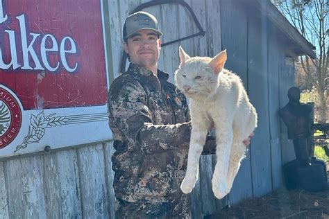 Arkansas Hunter Bags Extremely Rare Albino Bobcat | Field & Stream