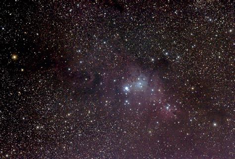 Happy Holidays - Christmas Tree and Cone Nebula : r/astrophotography